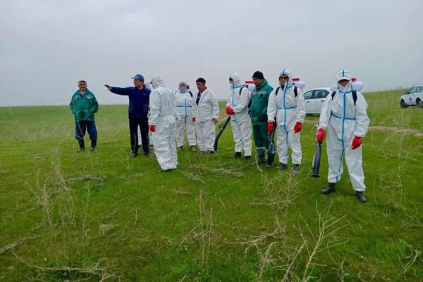 30 МЫҢ ГЕКТАР ДӘРІЛЕНДІ